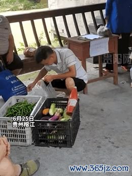 “请专家带菜刀，来村委会赞理干活！”
