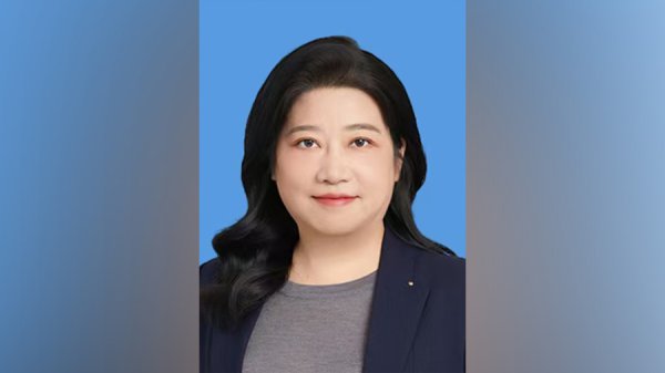 安青、王敏赴任，出任驻外大使